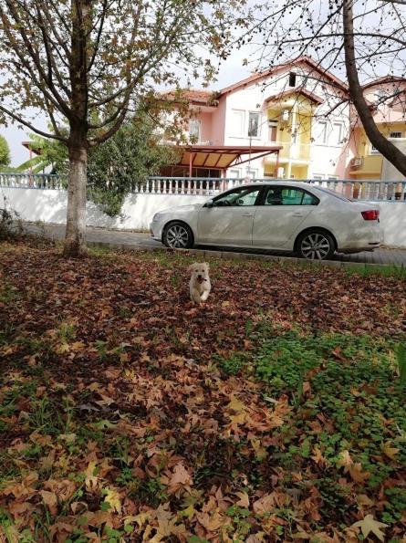 Sato Apart Hotel Fethiye Exterior foto